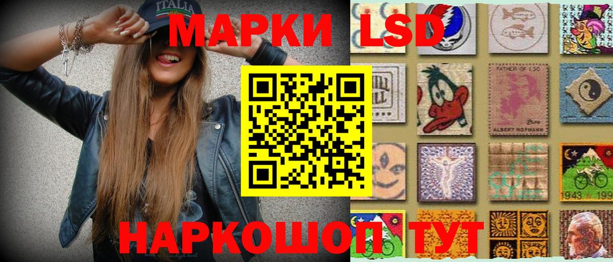 LSD-25 Новый Уренгой
