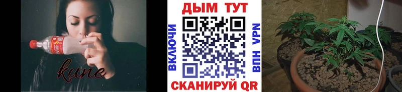 наркота  маркетплейс клад  Шишки марихуана конопля  Новый Уренгой 